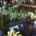 Flóra A Balatonnál * Lovas
