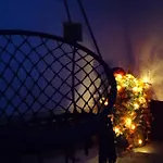 Flora Vendeghaz A Balatonnal Lovas