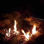 Flóra A Balatonnál *