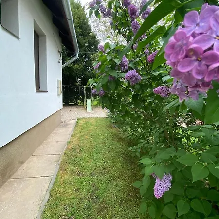 Flora Vendeghaz A Balatonnal * Lovas