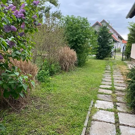 Flora Vendeghaz A Balatonnal
