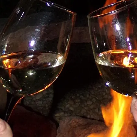 Flora Vendeghaz A Balatonnal *