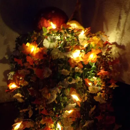 Διαμέρισμα Flora Vendeghaz A Balatonnal *