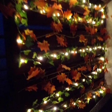 Flora Vendeghaz A Balatonnal Apartmán Lovas