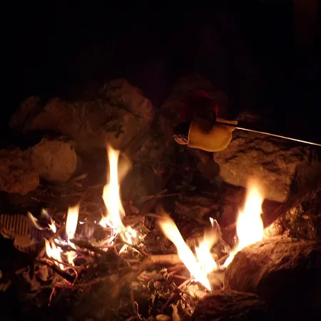 Flora Vendeghaz A Balatonnal *