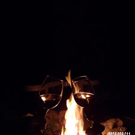 Flora Vendeghaz A Balatonnal Lovas