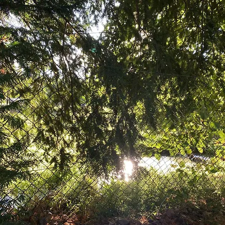 Flóra A Balatonnál Apartamento *