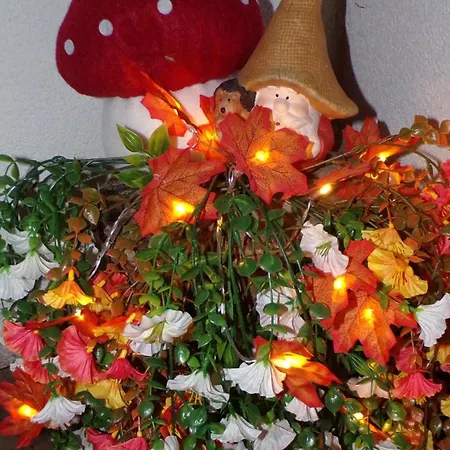 Flora Vendeghaz A Balatonnal Apartmán