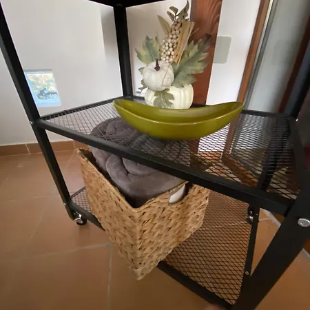 Flóra A Balatonnál