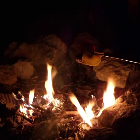 Flóra A Balatonnál