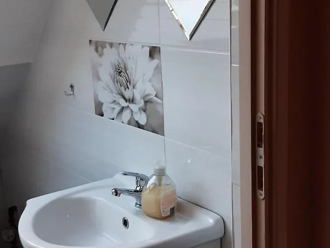 Flóra A Balatonnál *