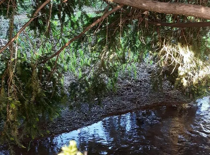 Flóra A Balatonnál * Lovas
