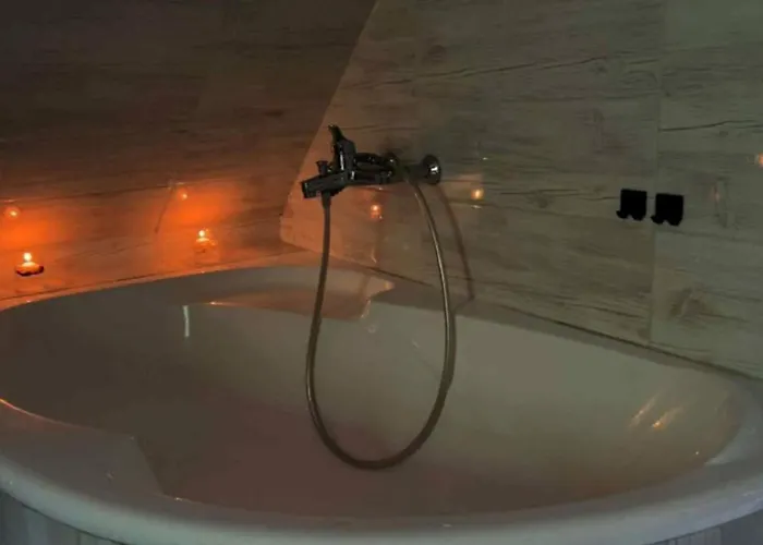 Flora Vendeghaz A Balatonnal Lovas