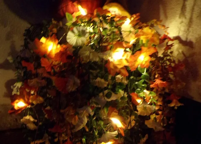 Διαμέρισμα Flora Vendeghaz A Balatonnal *