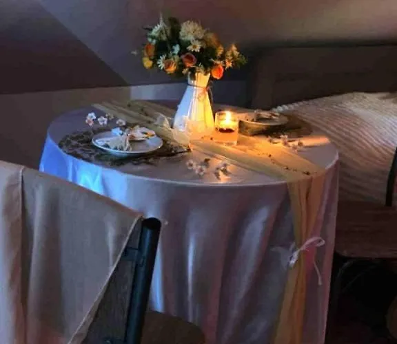 Flóra A Balatonnál * Lovas