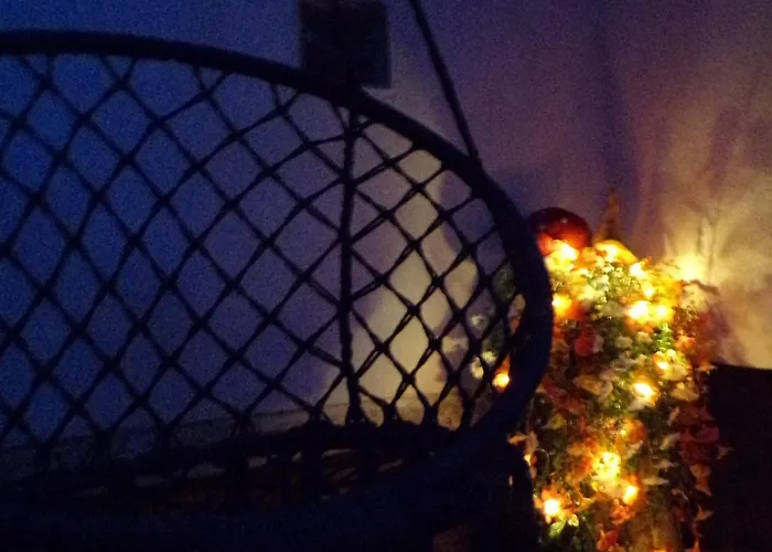 Flóra A Balatonnál Lovas