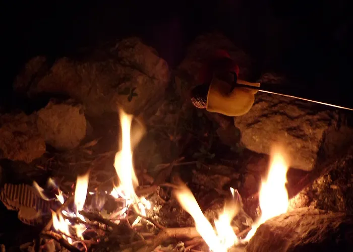 Flora Vendeghaz A Balatonnal *