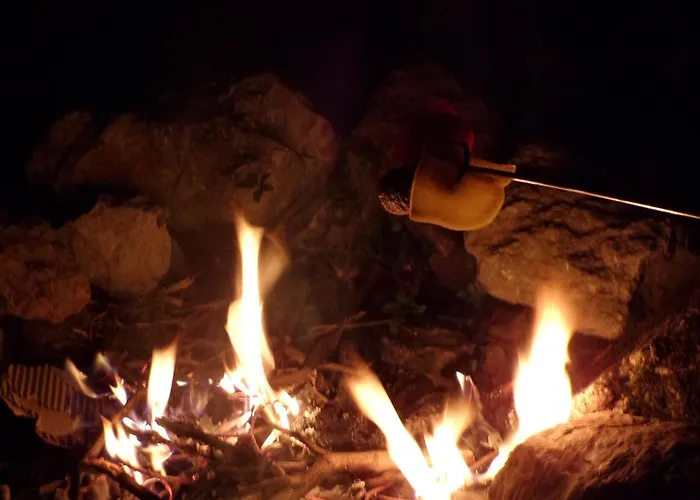 Flóra A Balatonnál *