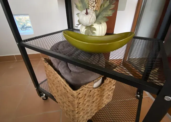 Flóra A Balatonnál