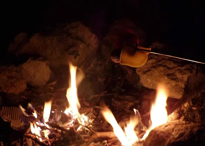 Flóra A Balatonnál